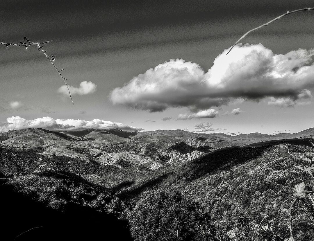 Foto: ai a peaceful mind - Sardinien